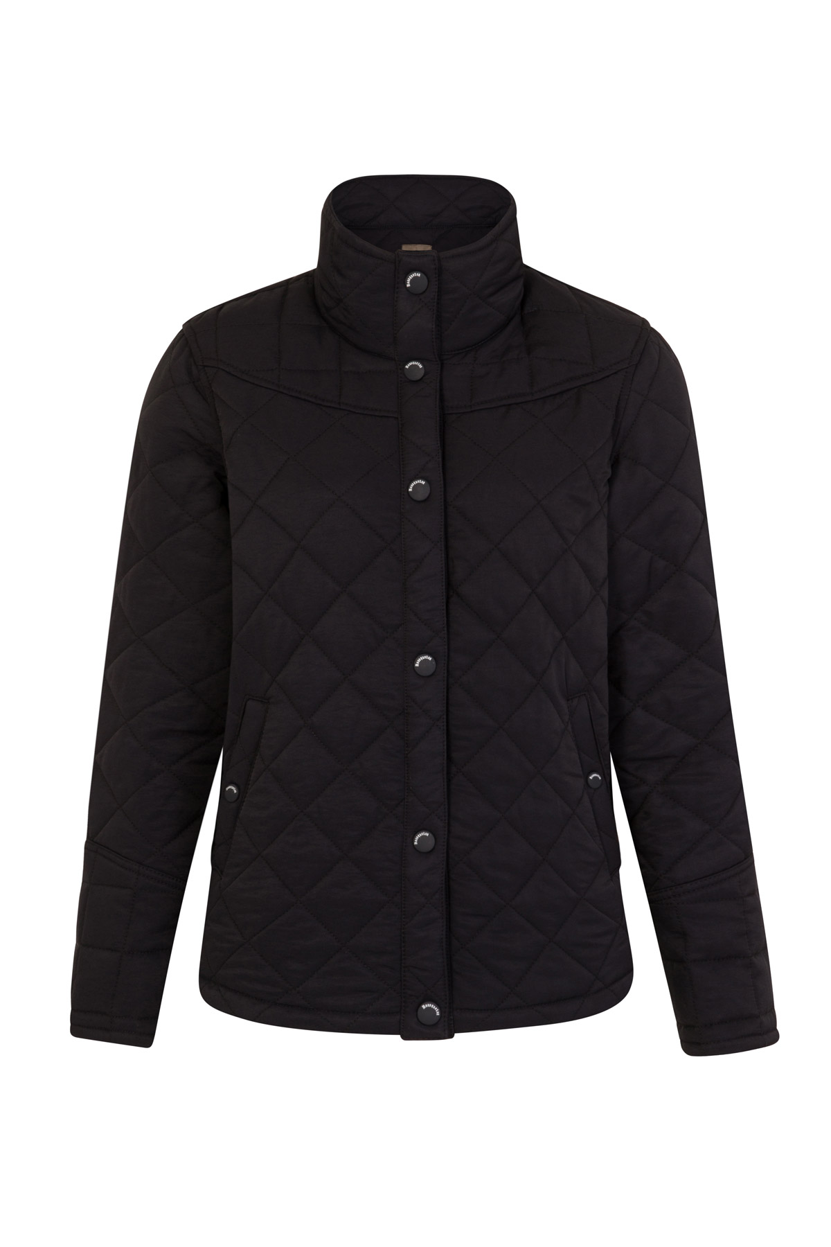 Veste DOLO