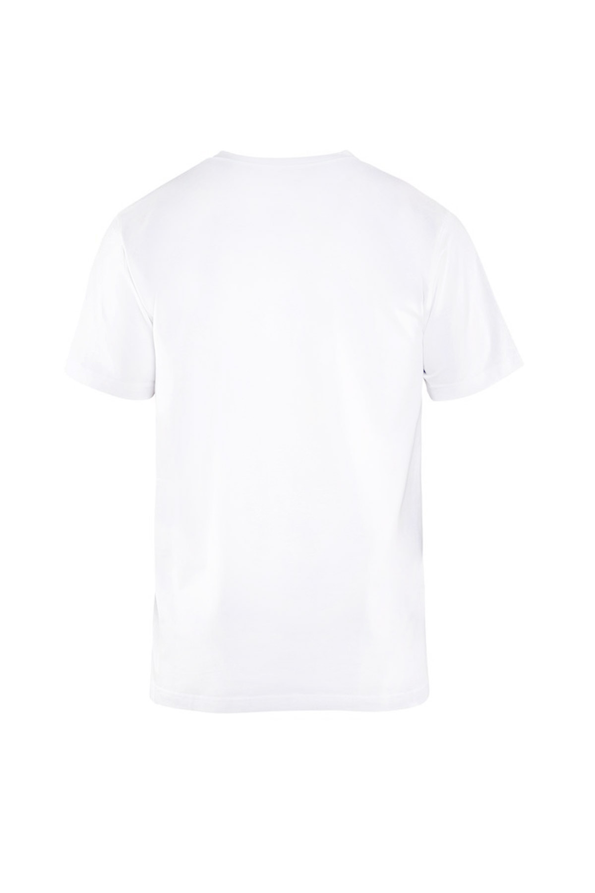 - T-SHIRT RAYE SDG