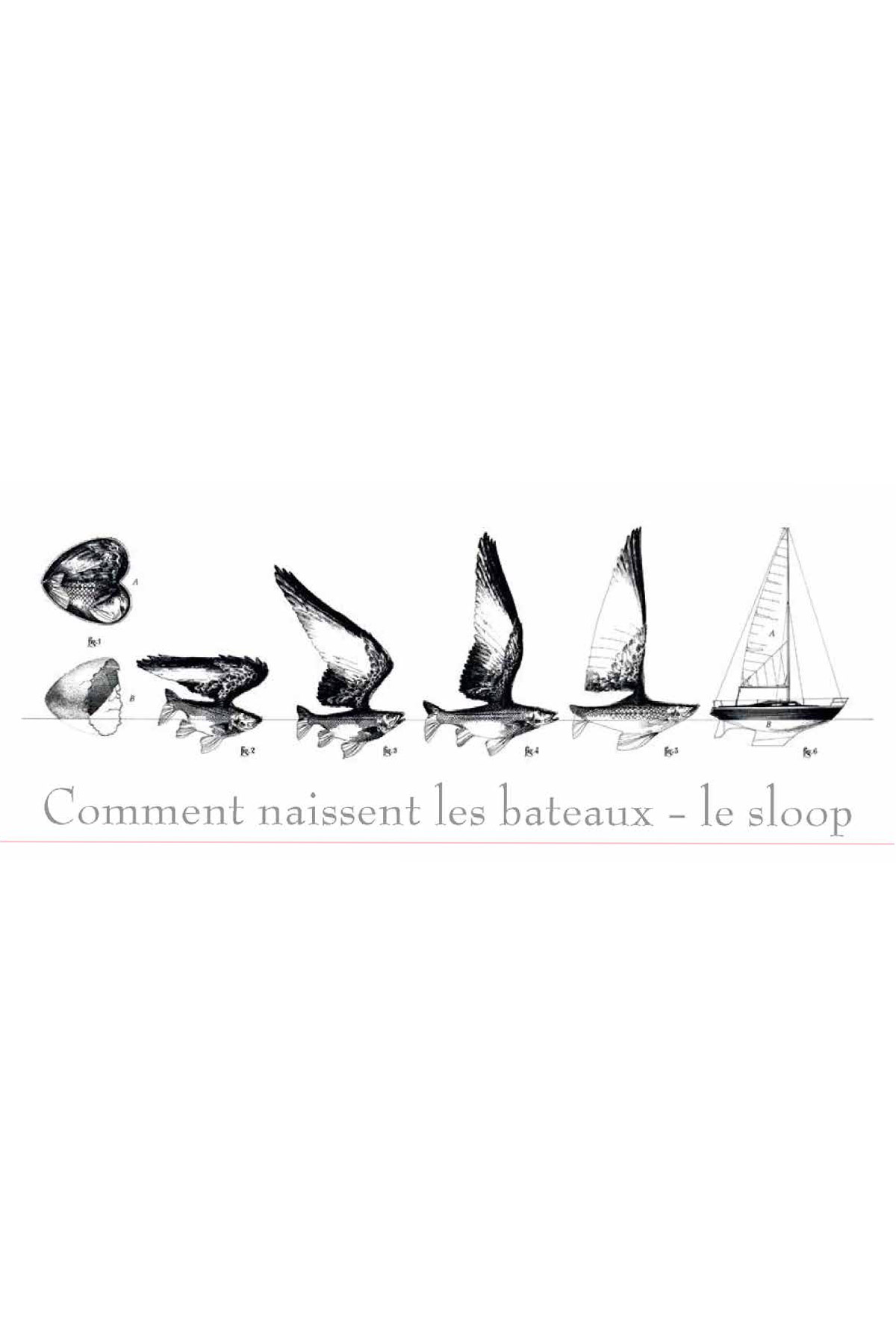 - - Serviette LE SLOOP