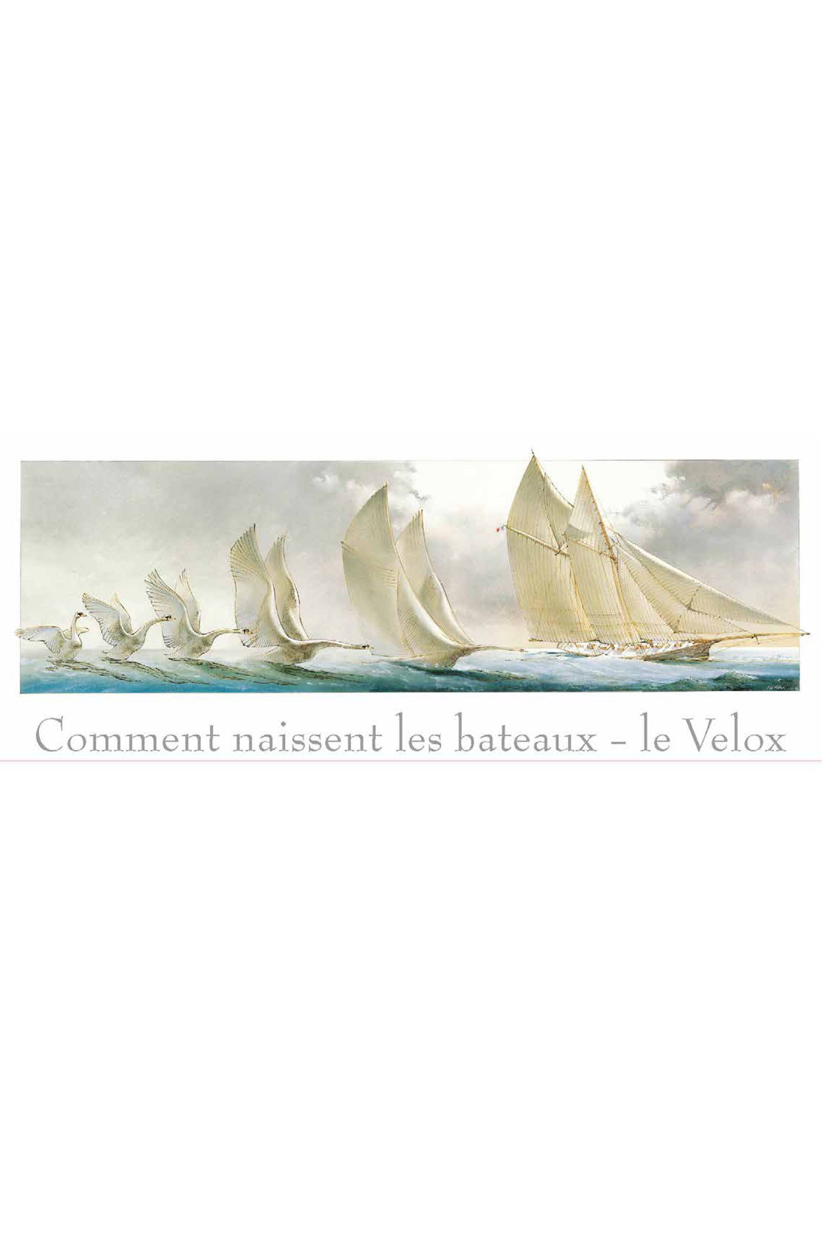 - - Serviette LE VELOX