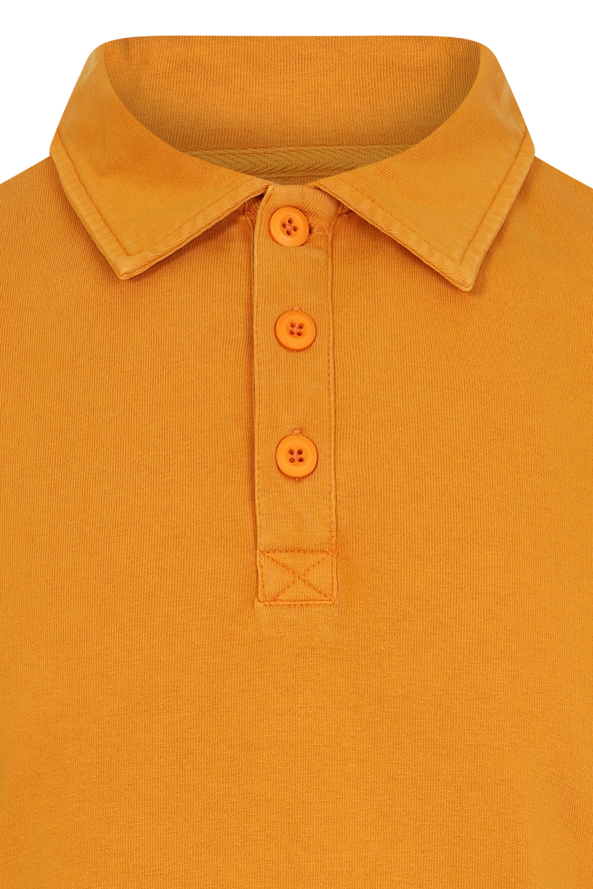 Polo AWEN