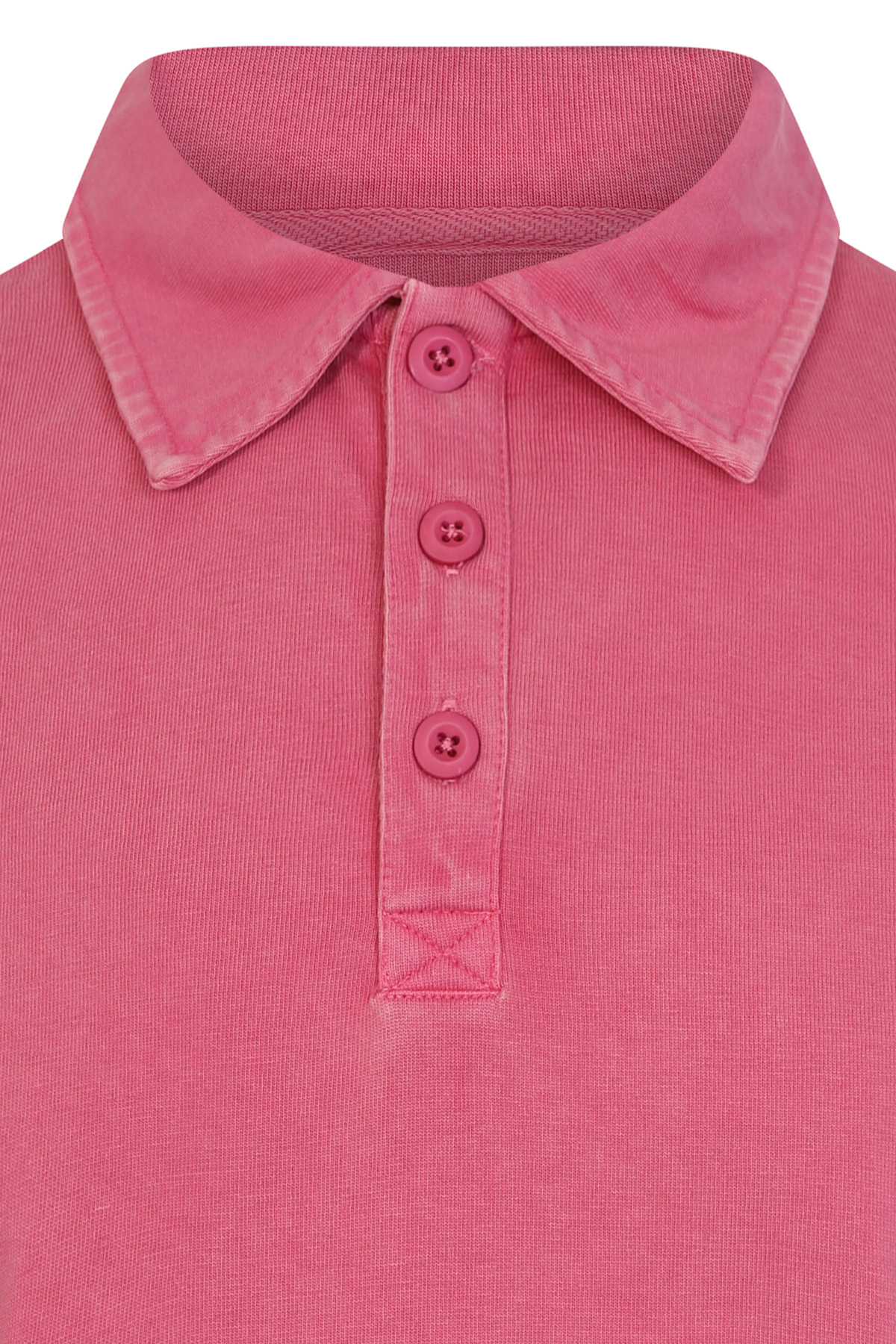 Polo AWEN