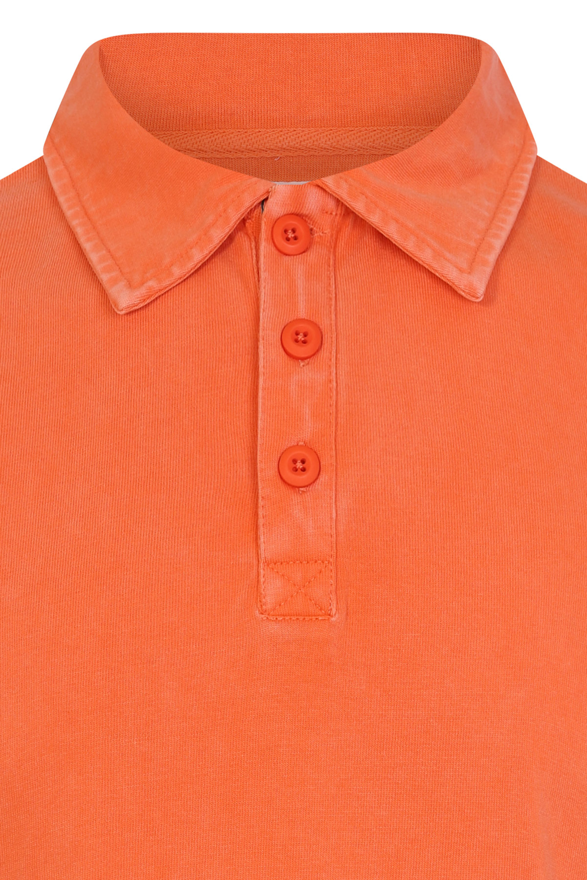 Polo AWEN