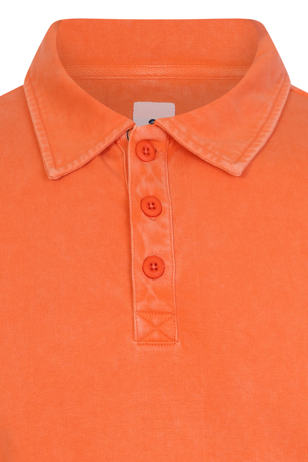 Polo ARTHUR